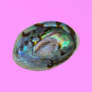 Rainbow Abalone Shell Smudging Bowl Incense Holder & Crystal Trinket Bowl